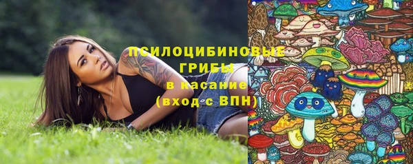 кокс Баксан