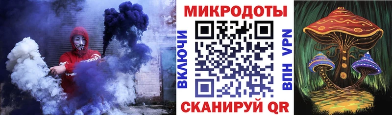 Галлюциногенные грибы Cubensis mega tor Заволжск где купить наркоту